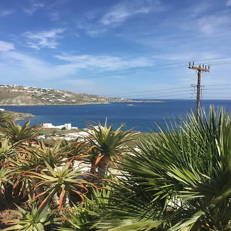 Aloe Mykonos *